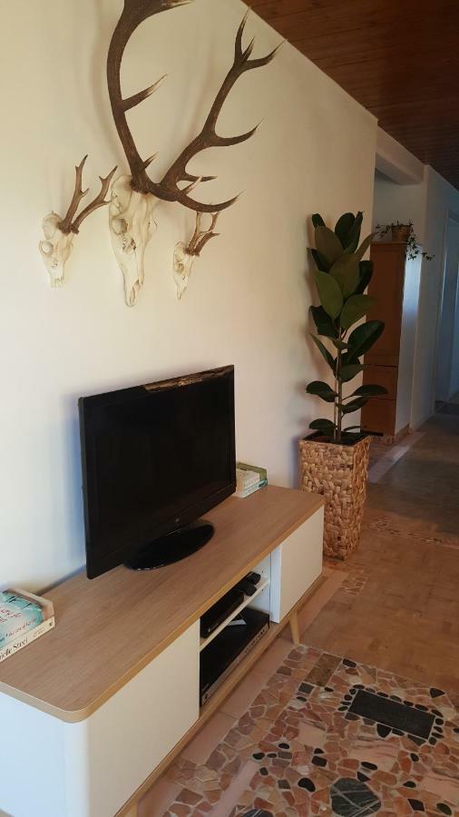 Appartement Unterbergblick Kössen Dış mekan fotoğraf